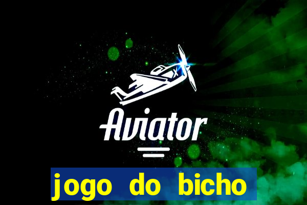 jogo do bicho crash bingo